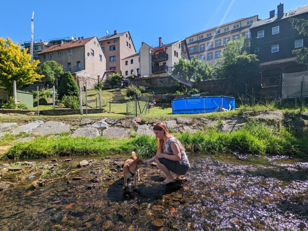 Famzi - Urlaubsmagie - Familienwohnung Mit Gemeinschaftsgarten, -Sauna & -Pool 赛博尼茨 外观 照片