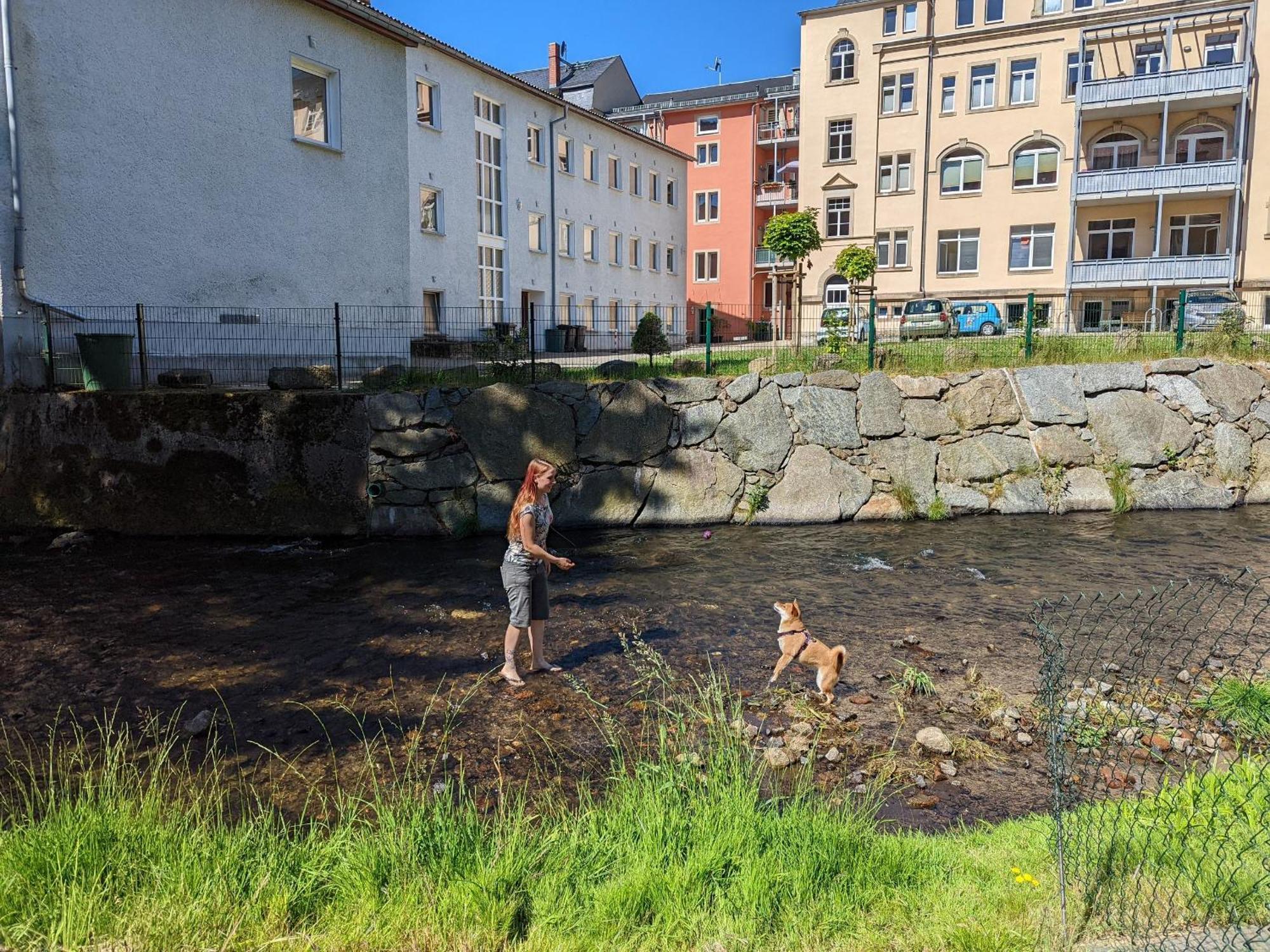 Famzi - Urlaubsmagie - Familienwohnung Mit Gemeinschaftsgarten, -Sauna & -Pool 赛博尼茨 外观 照片